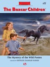 Cover image for The Mystery of the Wild Ponies
